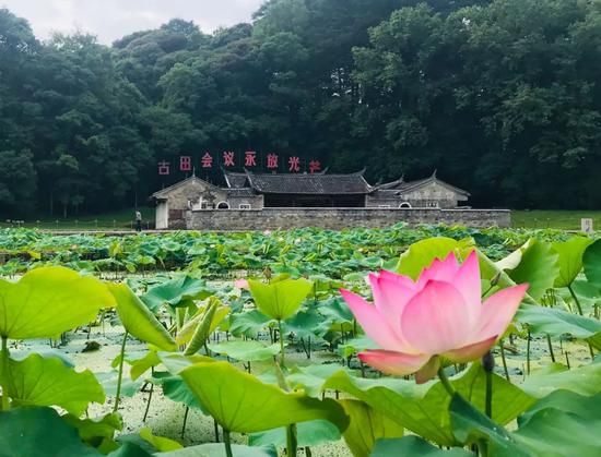 革命星火燎原：马云为何三次造访古田？