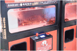 超级物种工坊进化论，如何打造常逛常新的体验感？